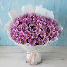 Букет цветов из:  Хризантемы в Райчихинске