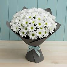 Букет цветов из:  Хризантемы в Райчихинске
